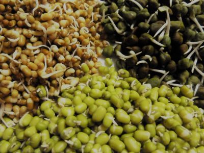 SPROUTED GRAINS (ANKURIT MUNG CHANA)